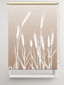 Rollo cereal 24 – cappuccino, Rollo, Motivrollo, Rollo mit Druck, Fotorollo, bedrucktes Rollo, Fensterrollo,verdunkelndes Rollo, Sonnenschutz Rollo